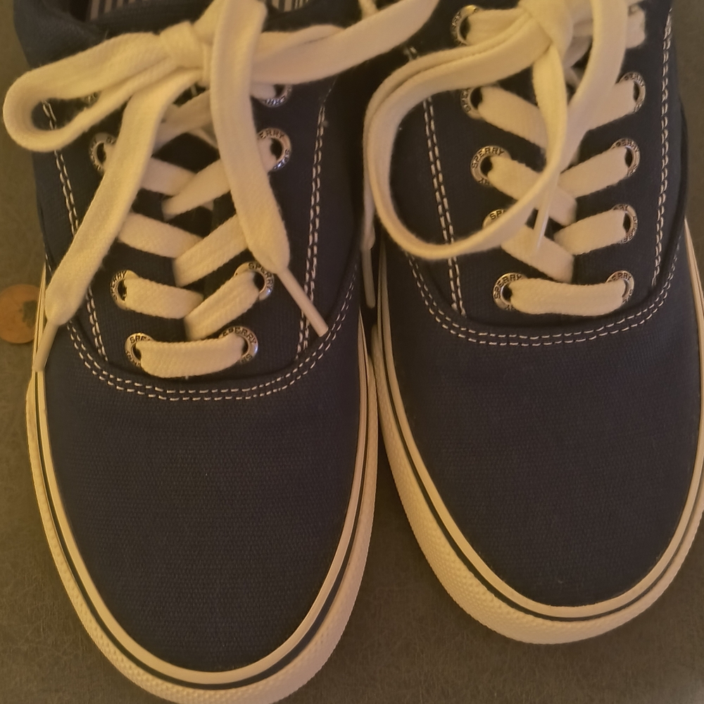 Men's  Navy Blue Canvas Sneakers